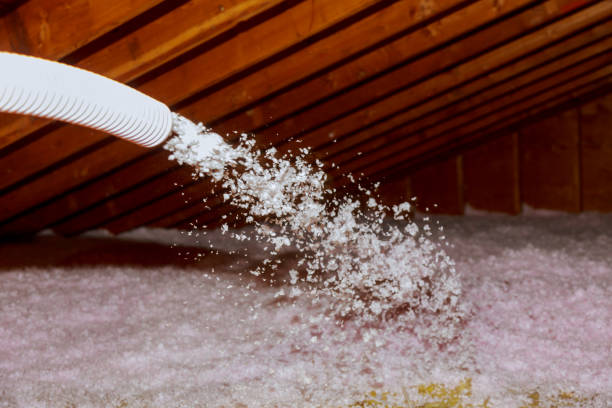 Best Spray Foam Insulation in Prairie City, IA